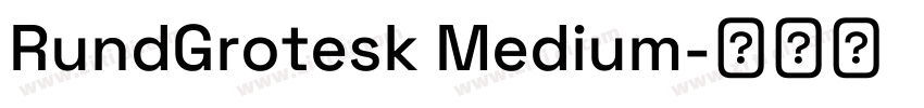 RundGrotesk Medium字体转换